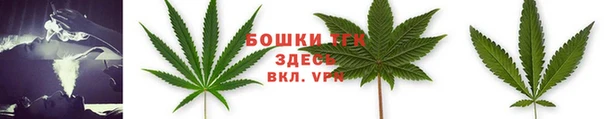 дживик Новодвинск