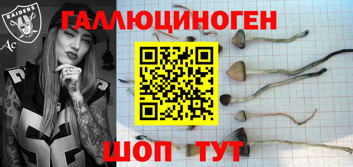 Майский  Галлюциногенные грибы Psilocybe  Вход с VPN 